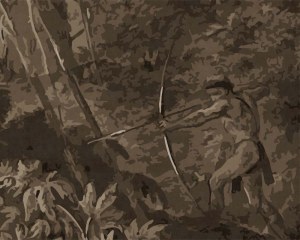 Brasilian Forest - Wallpaper mural