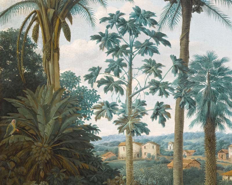 Brasilian plantation- Wallpaper mural