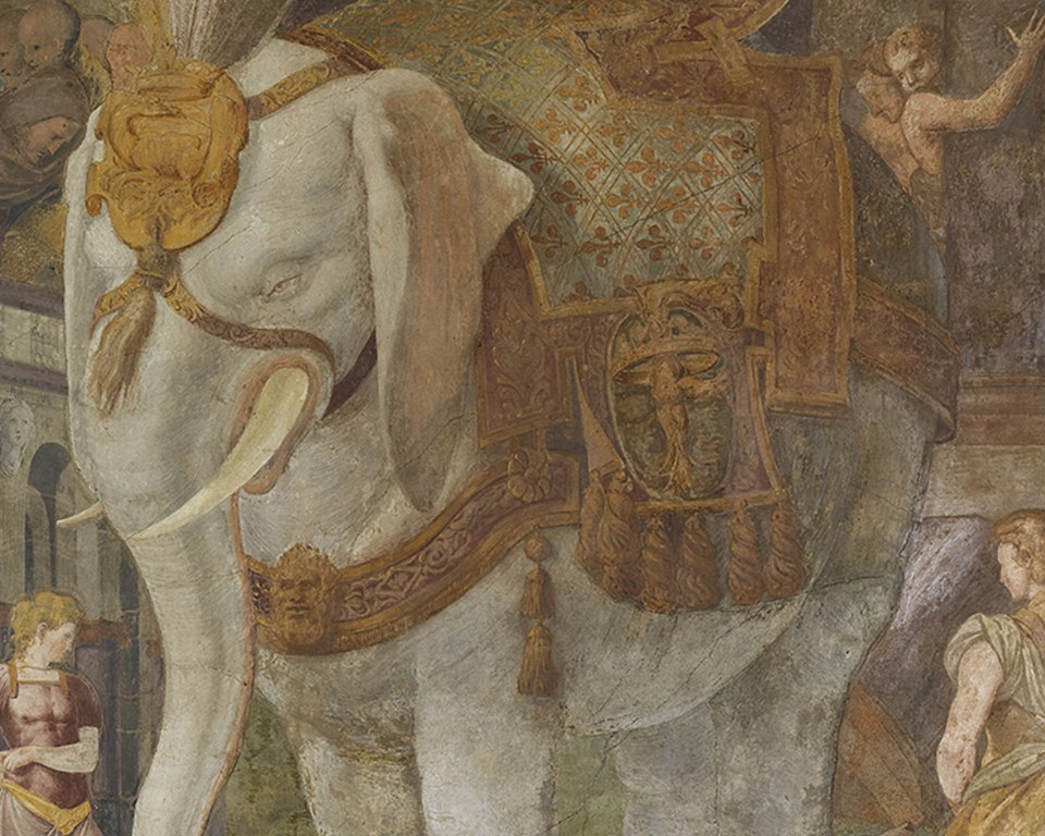 Fresco renacentista 1/14 - Carta da parati